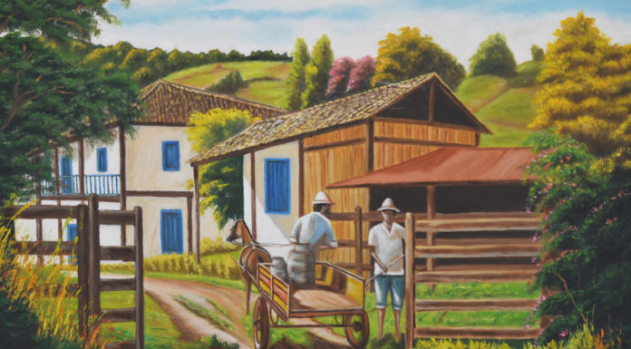 Universo Particular de José Carlos Meneghin é tema de exposição na Câmara