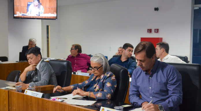 Aprovados: incentivo a agentes de combate a endemias e táxi adaptado