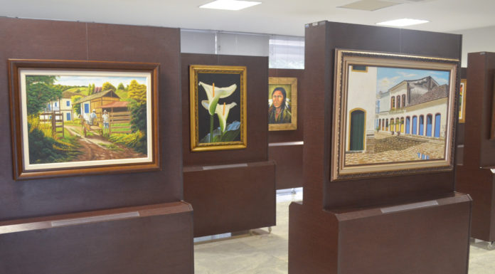 Exposição de pinturas “Universo Particular”, de José Carlos Meneghin, é aberta ao público