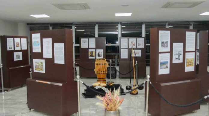 Exposição na Câmara Municipal chama atenção para a importância da capoeira como esporte de resistência e cultura