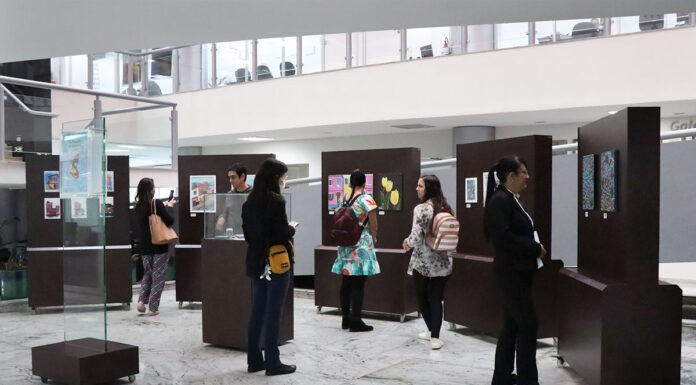 Câmara recebe a exposição “Em Busca do Eu Artístico: Um Diálogo Visual de Estilos”, da artista Fran